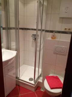 Fewo Therme inkl Handtücher und Bettwäsche - Altenau - 4