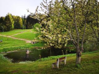 Srub na svahu sjezdovky v Radvanicích - Radvanice - 5