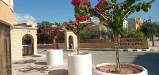 Pagona Holiday Apartments - Paphos - 7