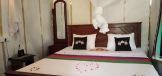Sigiri Panaromic Tree House - 2