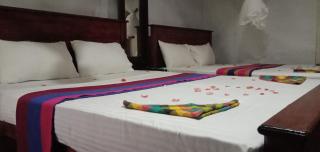 Sigiri Panaromic Tree House - 4