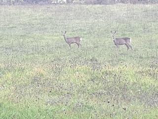 Appartamento Serenella - 8