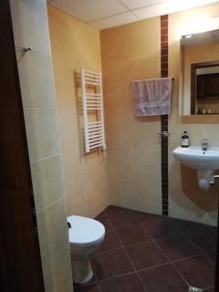 BANSKO WINSLOW INFINITY - Studio - Bansko - 1