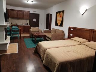 BANSKO WINSLOW INFINITY - Studio - Bansko - 2