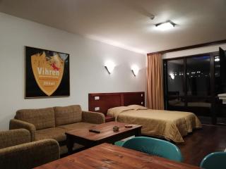 BANSKO WINSLOW INFINITY - Studio - Bansko - 9