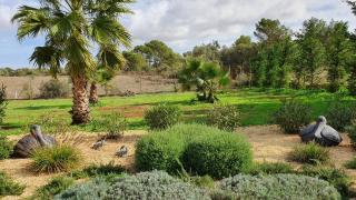 Finca Son Amal - Algaida - 1