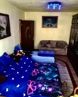 La SYMO apartament STRAJA Lupeni - 5