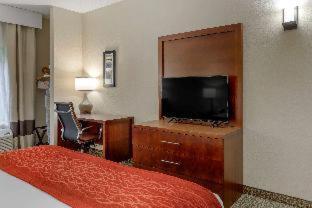 comfort & inn Suites - Canton - 4