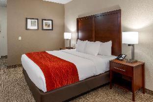 comfort & inn Suites - 1