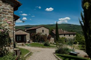 Agriturismo Azienda Agricola Il Pozzo - Capolona - 8