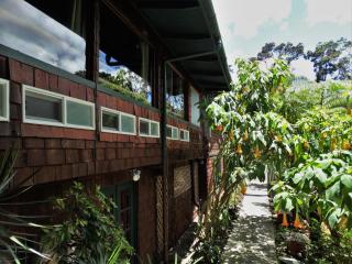 Chalet Kilauea - 1