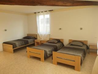 Gîte de charme près du lac du Der avec jardin clos, 4 chambres, parking privé, et équipements modernes - FR-1-611-13 - - 4