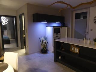 Apartamenty Moszna - blisko Zamku, Jacuzzi, widok na las - 2