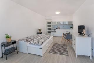 Apartmán Šantovka - Olomouc - 8