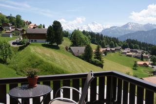 Hotel Fassbind Beausite - Beatenberg - 9