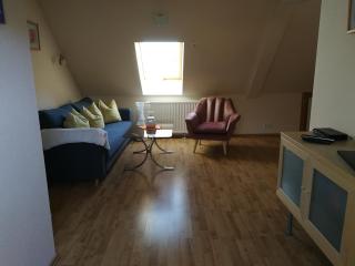 Ferienwohnung Brandmuehle - Bad Schlema - 1