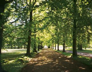 Bäckaskog Slott - Fjälkinge - 3