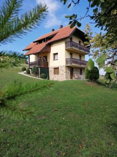 Vila Milija - Bajina Bašta - 8