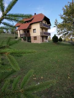 Vila Milija - Bajina Bašta - 6