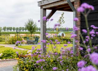 B&B In ons straatje - Rosmalen - 0