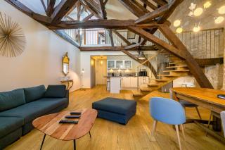 Le Mucie*****LOFT au centre ville de Dijon - 9