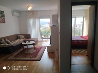 Renta apartman - Podgorica - 0