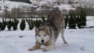 New apartment in Herand, Hardanger - 1