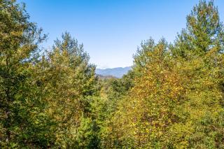 Lost Indian Hideaway - Whittier - 4