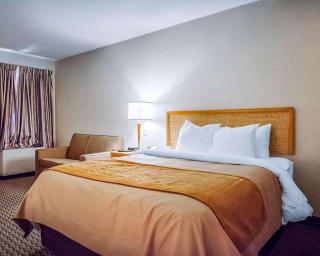 Rodeway Inn - Saint John - 3