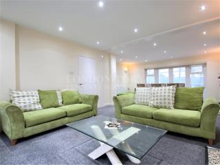 Detached 5 bedroom house, ideally located - Finchley - 9