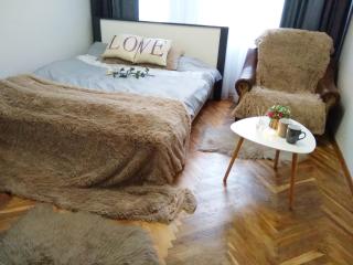 Comfortable modern apartment - Lviv - 9
