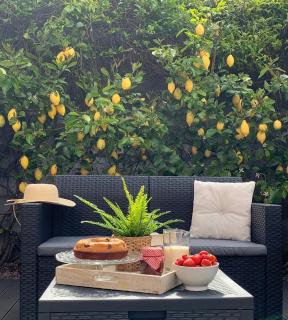 "Sunset Garden" apartment - Riomaggiore - 5