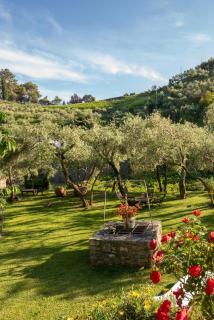 Agriturismo Buranco - Monterosso al Mare - 4