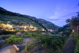 Agriturismo Buranco - Monterosso al Mare - 3