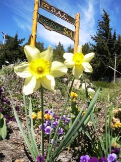 Verde Sol - Bariloche - 1