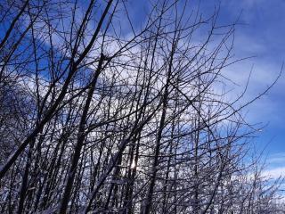 Helgas Ferienwohnung 4 Sterne - 1