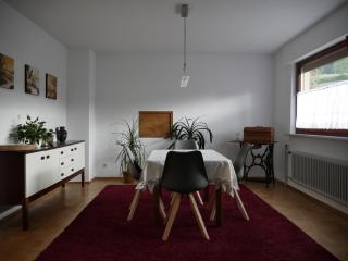 Ferienwohnung Lahr im Schwarzwald ,120 qm, Pool 8x4m, nahe Europa Park Rust - Lahr - 4
