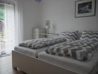 Ferienwohnung Lahr im Schwarzwald ,120 qm, nahe Europa Park Rust, Außenpool 8x4 - 7