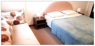 Dobricin konak, Apartman 202 - Kopaonik - 7