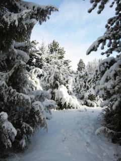 Verde Sol - Bariloche - 9