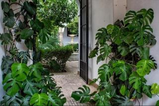 Apartamento en un dormitorio en Plaza Alfaro - Siviglia - 8