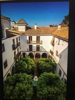 Apartamento en un dormitorio en Plaza Alfaro - 5