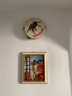 Gabriele-Apartment - 4