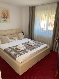Guest House Piatra Craiului - Bran - 1