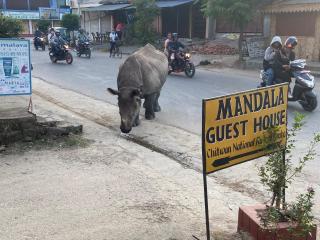 Mandala Guest House - 9