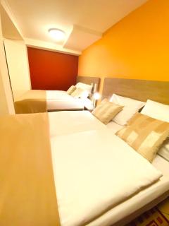 Hotel Hansehof - Amburgo - 9