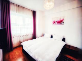 Business Apartments - Cluj-Napoca - 1