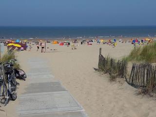 Duinnest - Noordwijkerhout - 5