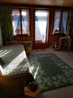 Studio avec vue splendide sur les Diablerets - Les Diablerets - 8
