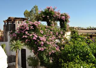 Riad Lyla - Marrakech - 7